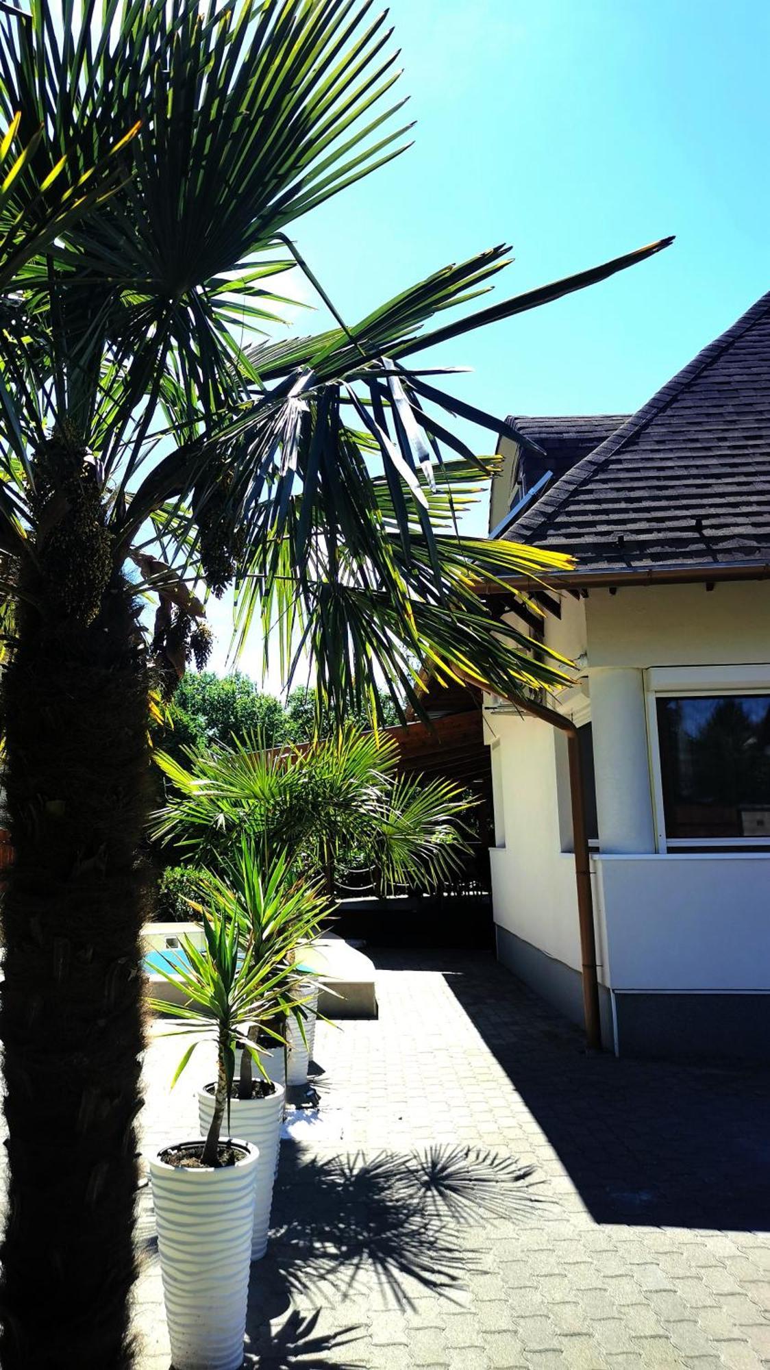 House4U Villa Balatonszemes Exterior photo